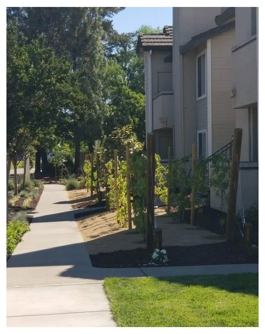 Chardonnay Gardens photo 4